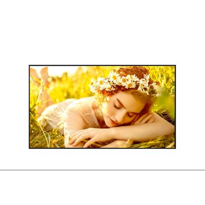 Monitor de Señalización LG 75UL5Q-E: Pantalla 75" 4K UHD para Aplicaciones Profesionales